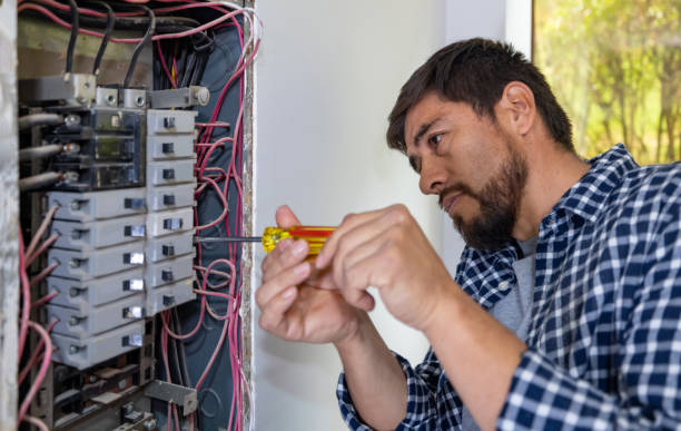 Best Electrical System Inspection  in Whitmire, SC